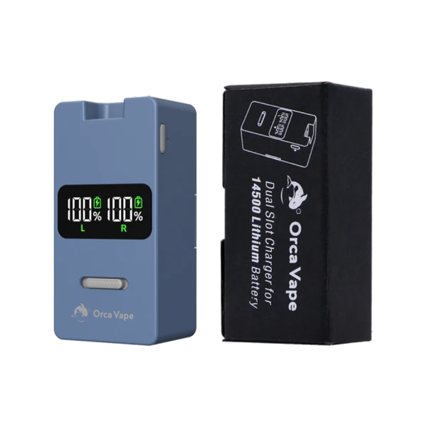 San Dynasty 2 Slot Charger