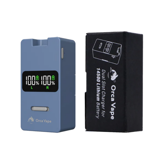 San Dynasty 2 Slot Charger
